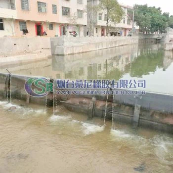 Spillway Gates for Flood Management