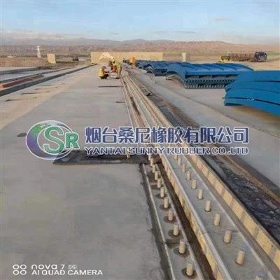 Pneumatisk Spillway Gate UV-modstand